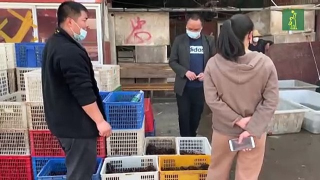 Mercados de alimentos frescos de Wuhan luchan para sobrevivir tras el coronavirus