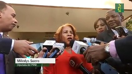 Diputada del PRM: Ese diálogo se va a hacer lo más pronto posible
