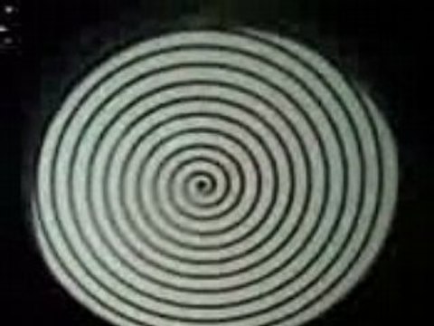 Parque de las ciencias 2008