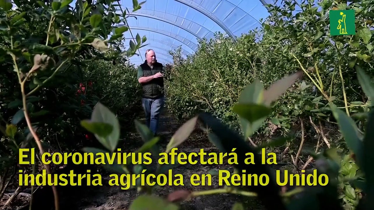 El coronavirus afectará a la industria agrícola...