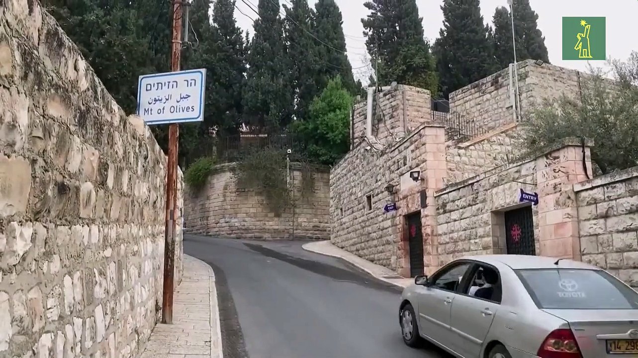 Con un Domingo de Ramos sin ramos, comienza la Semana Santa en Tierra Santa