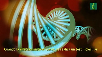 Así funcionan los tests para detectar el nuevo coronavirus