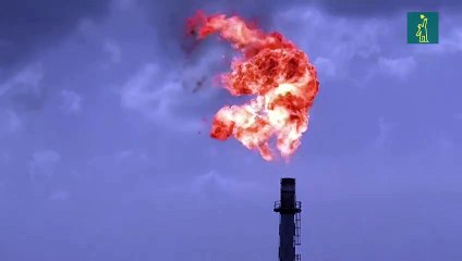 Países productores de petróleo acuerdan recorte "histórico" de la producción
