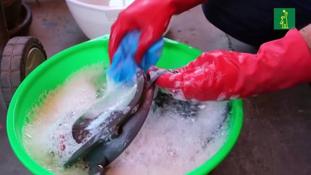 Tenemos miedo , la sombra que cubre a médicos mexicanos por la pandemia