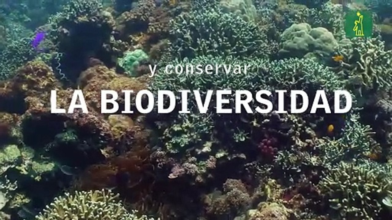 22 de abril: Día Internacional de la Tierra