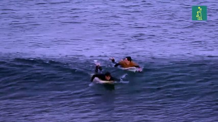 Surfistas escapan de un tiburón en Australia