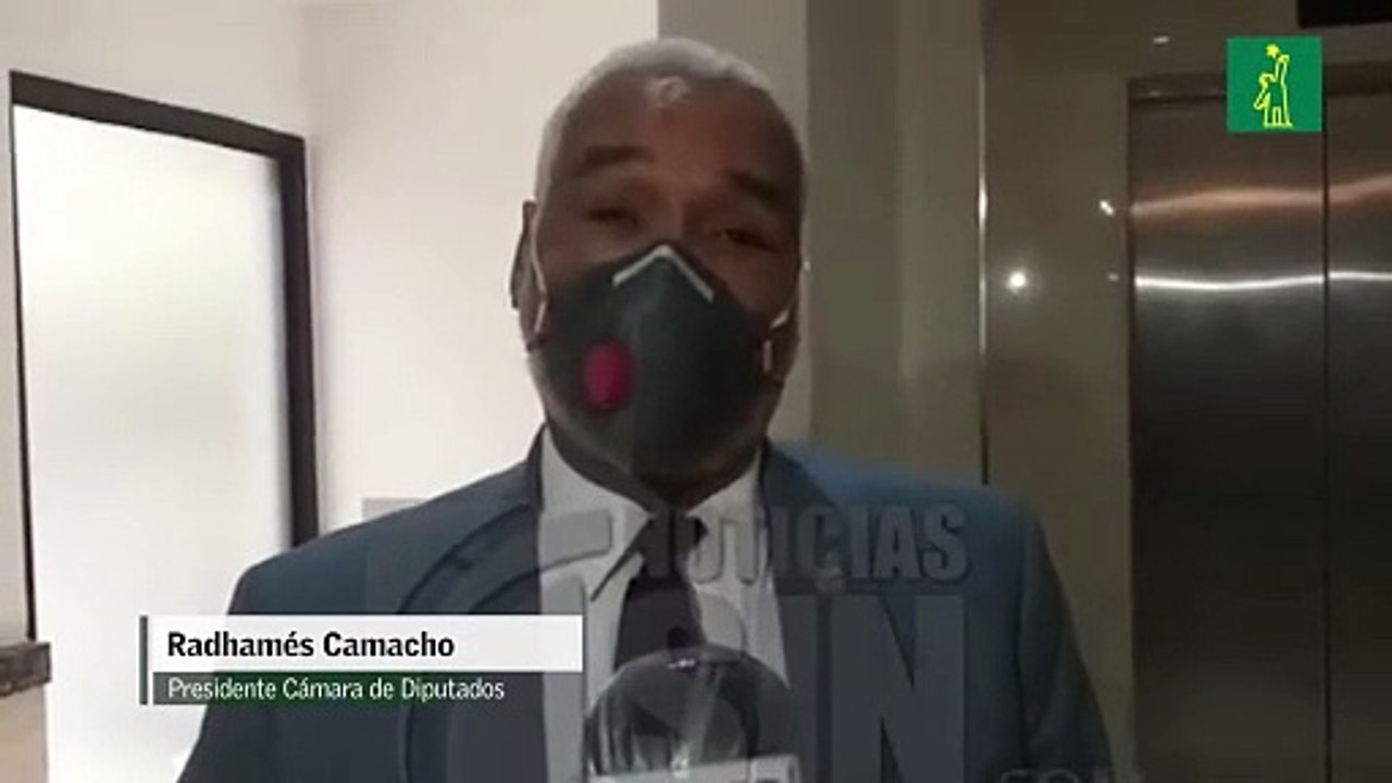 Presidente de la Cámara de Diputados dice "lo ideal sería que los legisladores aprueben los 25 días"