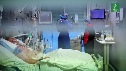 Francia suma 531 muertes por coronavirus en un día hasta un total de 20.796