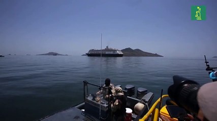 Buque llega a Panamá en auxilio de crucero en el que murieron 4 pasajeros