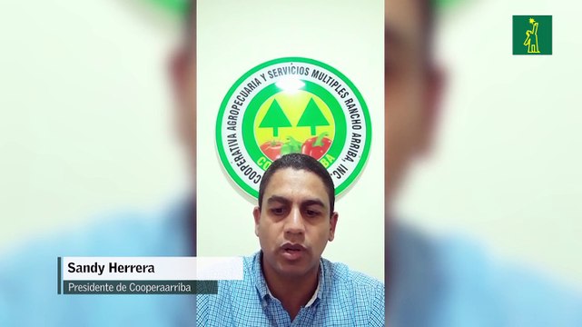 Productores de vegetales en Ocoa piden intervención del Estado para evitar la quiebra