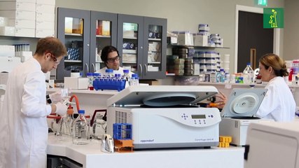 En ensayo clínico una decena de 119 proyectos de vacuna contra la COVID-19