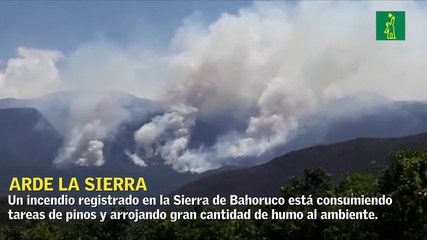Incendio consume pinos en la Sierra de Bahoruco