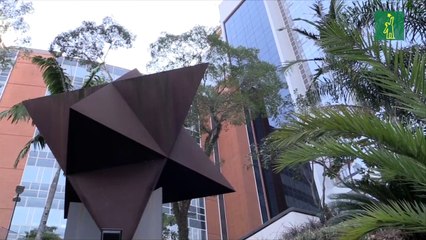 Crean en Brasil un test para detectar coronavirus sin falsos negativos