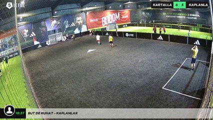 But de Ruhat - kaplanlar