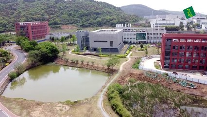 Nuevo coronavirus no fue creado por el hombre ni modificado genéticamente, dice inteligencia de EEUU