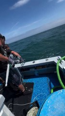 Catch the big tuna fish @karmawala #shorts #videos