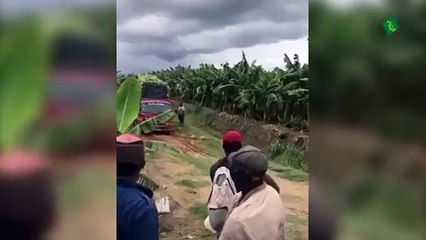 Logra estabilizar camión cargado de plátanos tras intentar volcarse