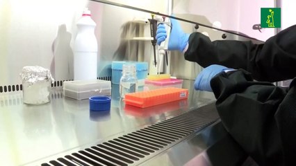 Análisis en aguas residuales permite estimar número de casos de COVID-19 en Quito