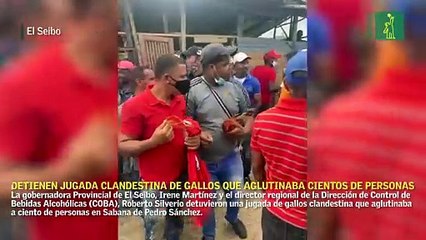 Detienen jugada clandestina de gallos que aglutinaba cientos de persona en El Seibo
