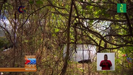 Diez muertos en accidente de autobús que trasladaba a maestros cubanos