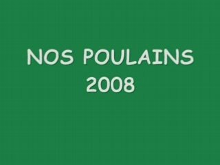 Les Poulains 2008