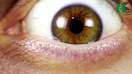 ¿Miedo a las inyecciones?, sufres de tripanofobia