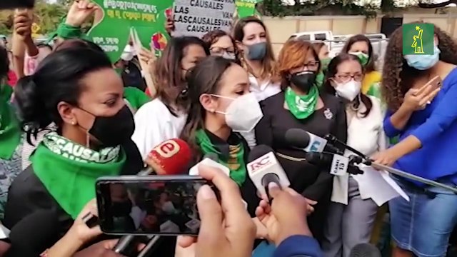 Funcionarias piden a legisladores del PRM respetar línea partidaria a favor de las tres causales.