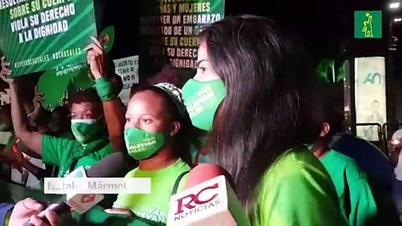 Activistas piden a Poder Ejecutivo observar Código Penal si es aprobado sin causales