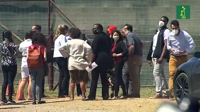 Legisladores de EEUU visitan frontera con México ante flujo migratorio