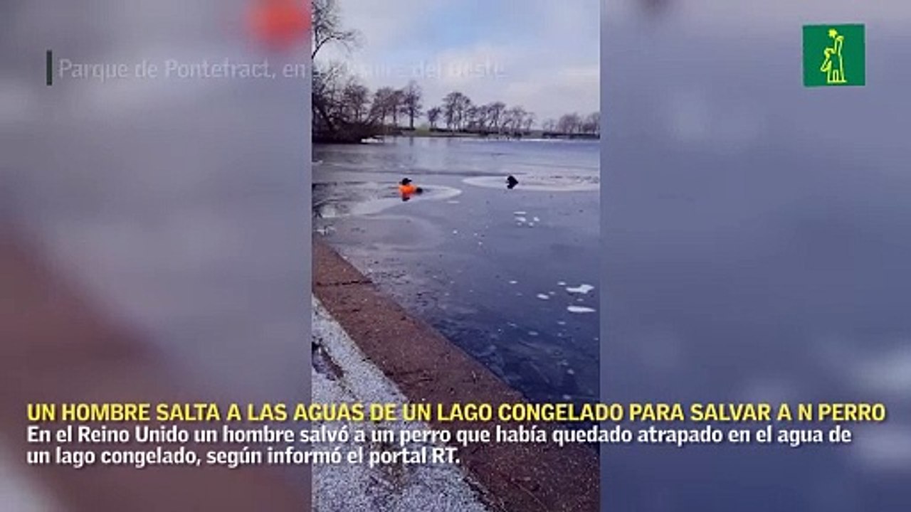 Un hombre salta a las aguas de un lago congelado para salvar a un perro