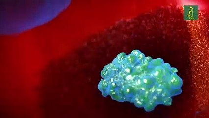 Nota Curiosa: ¿De dónde viene la palabra vacuna?