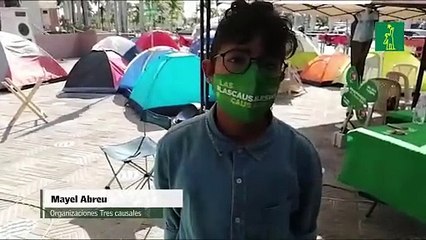 La causal incluida por legisladores es diferente a las que proponen activistas.