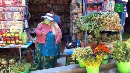Medicina ancestral boliviana, una alternativa para combatir la covid 19.