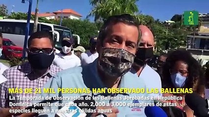 Más de 21 mil personas han observado las Ballenas Jorobadas, afirma Medio Ambiente.