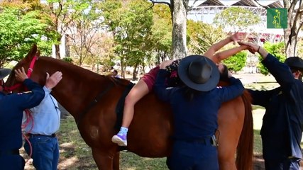En Costa Rica, los caballos curan dolores y tristezas