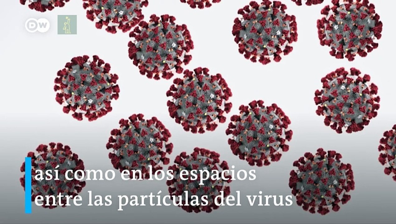 ¿Todo el coronavirus del mundo en una lata de refresco?