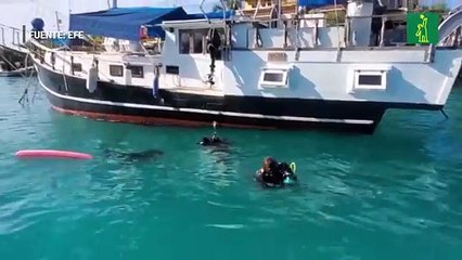 Submarinistas y guardaparques de Galápagos extraen 2.239 kilos de basuras del fondo del mar