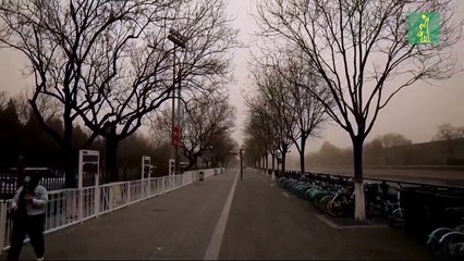 Pekín amanece envuelta en niebla marrón por contaminación y tormenta de arena