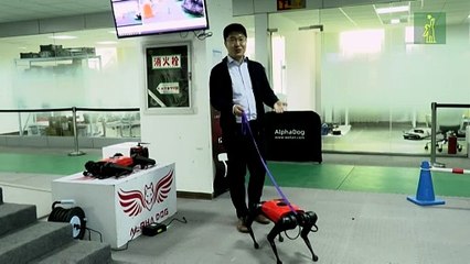 Los perros-robot, el último grito tecnológico en China