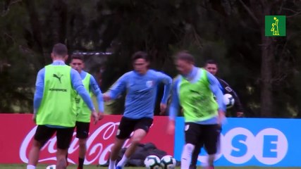 El covid vuelve a interponerse en el premundial y se suspende la doble fecha sudamericana