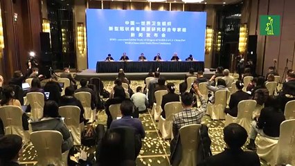 Informe OMS/China sobre origen de covid sugiere transmisión al hombre vía animal intermedio.