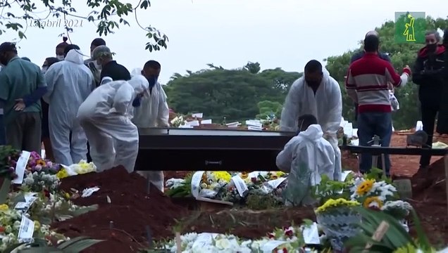 Lo que se sabe de la variante brasileña del coronavirus, la P1