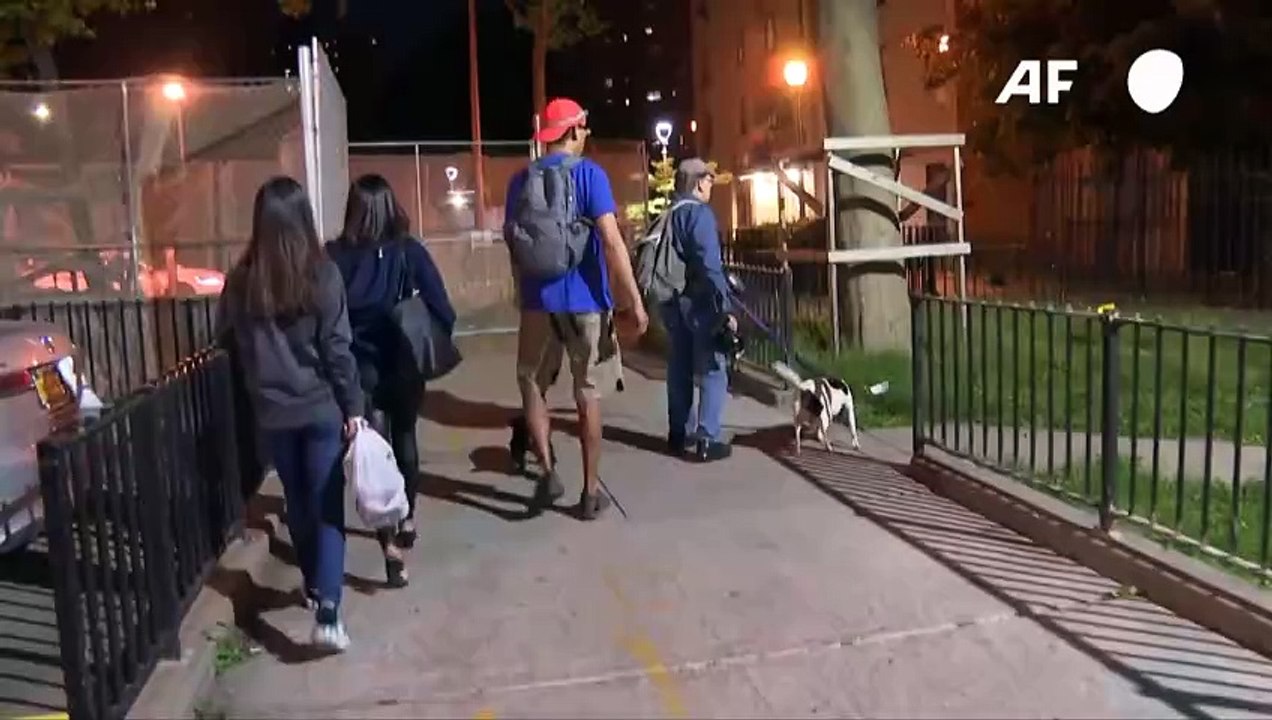 Los asesinos de ratas de Nueva York: perros y sus dueños a la caza de roedores