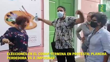 El gremialista José Sejo ganó las elecciones del Colegio Dominicano de Artistas Plásticos.