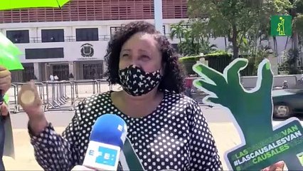 Tatem Brache: "No es posible que sea el Poder Ejecutivo el que diga que los derechos se puedan equiparar a las religiones".