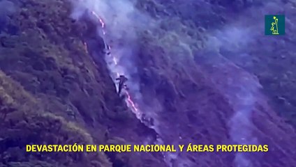 Denuncian la devastación en parque nacional y áreas protegidas.