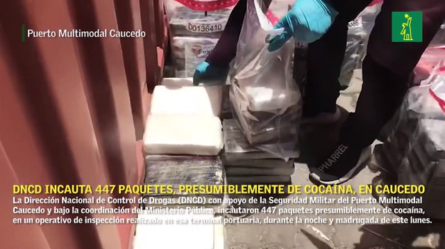 DNCD incauta 447 paquetes, presumiblemente de cocaína, en el Puerto Multimodal Caucedo