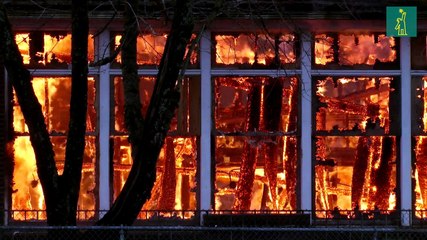 Café laboral: La importancia de contratar seguros de daños