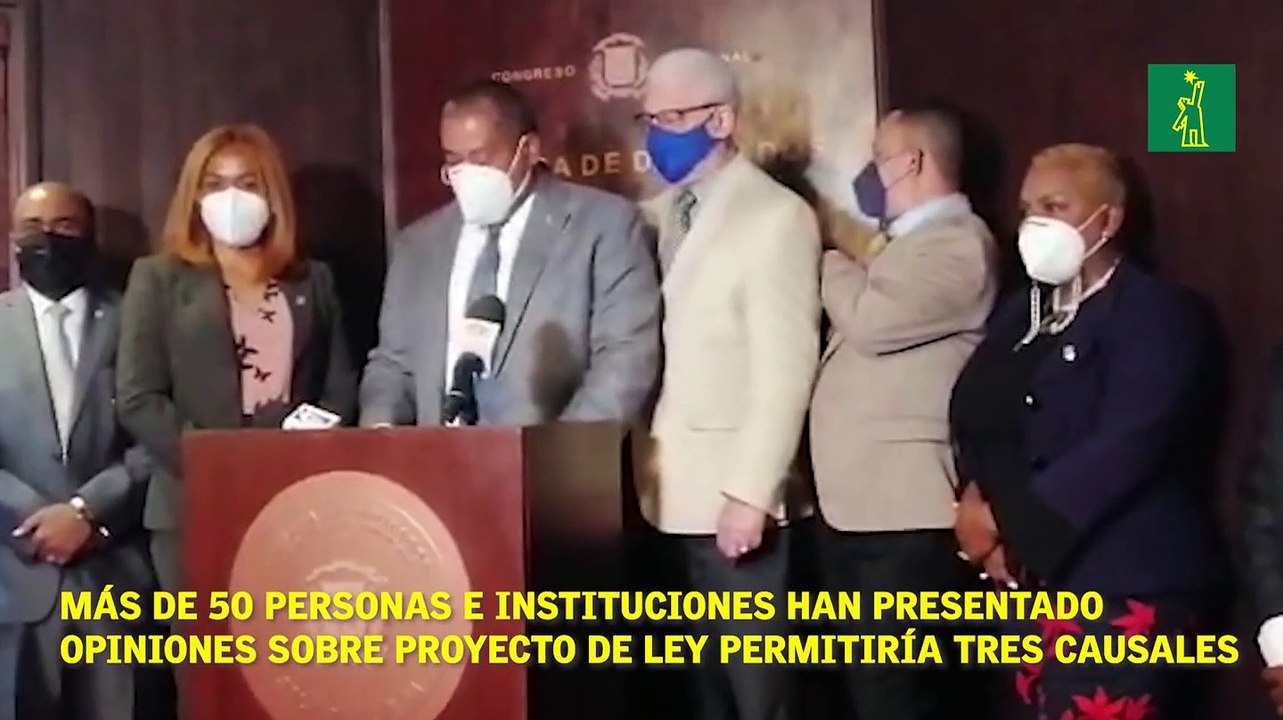 Más de 50 personas e instituciones han presentado opiniones sobre proyecto de ley permitiría tres causales.