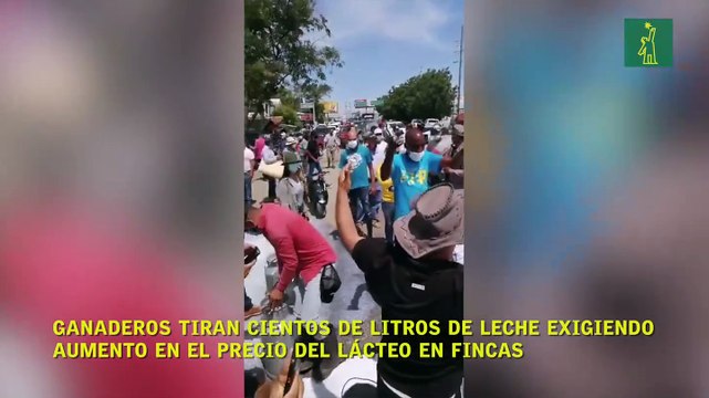 Ganaderos tiran cientos de litros de leche exigiendo aumento en el precio del lácteo en fincas